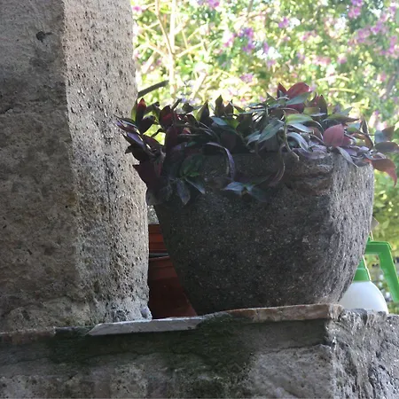 1882 (adults Only) 宾馆 阿拉恰特