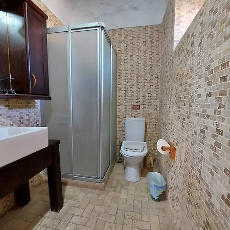 1882 (adults Only) 5*