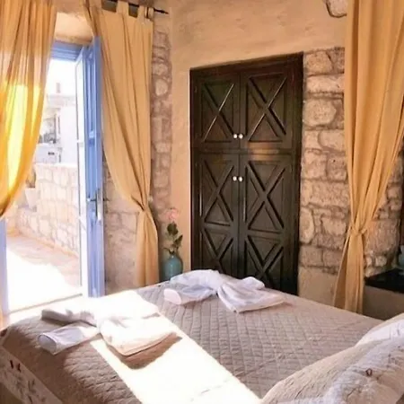 1882 (adults Only) 5*