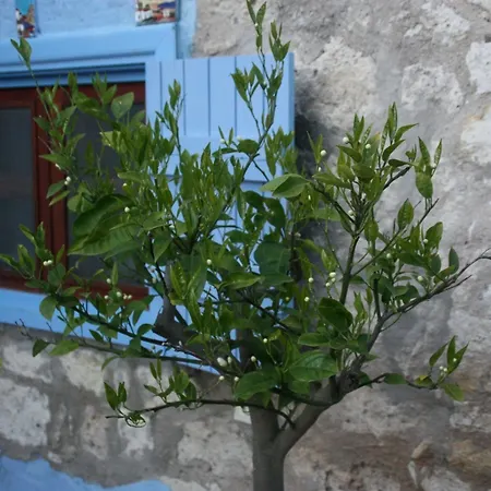 1882 (adults Only) Värdshus