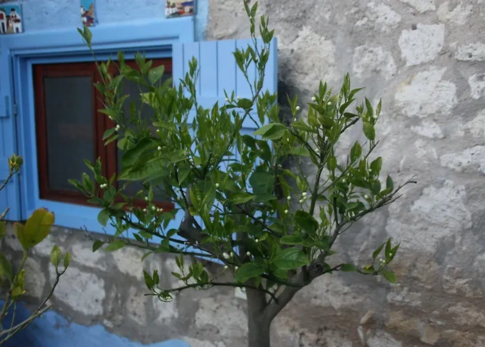 1882 (adults Only) Han/Misafirhane